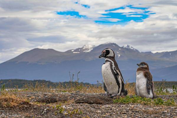 À la découverte de la dernière frontière de la Terre