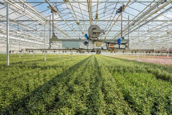 Favoriser l'agriculture durable grâce à la technologie