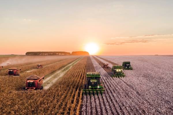 Favoriser l'agriculture durable grâce à la technologie